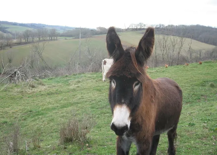 Bed and Breakfast Le Marques 3*