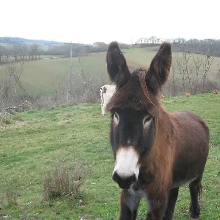 Bed & Breakfast Le Marques 3*